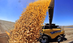 Top Farmers 2018 será em dezembro