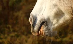Homologado resultado do concurso do TRF4