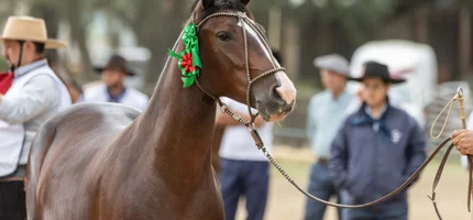Cidade paranaense abriu ciclo de Outono das Exposições Passaporte