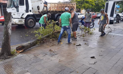 CPF na nota e período sem multas garantem descontos no IPVA 2020