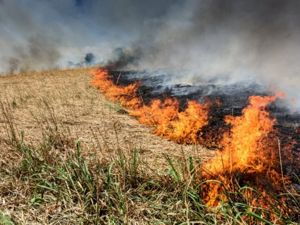 Bombeiros atenderam a quase 600 ocorrências em Uruguaiana