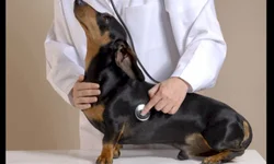 Onyx Lorenzoni se filia ao PL