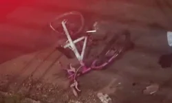 Lula demite Nísia Trindade e nomeia Padilha para o Ministério da Saúde