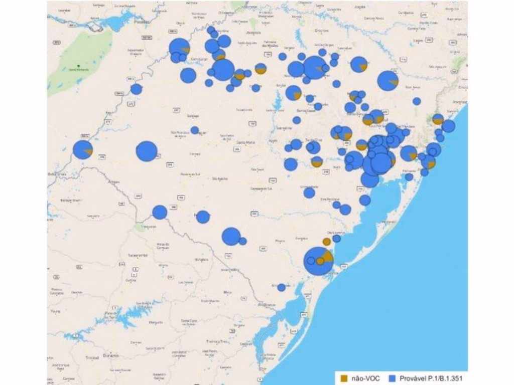 Exames apontam predomínio da variante P.1 do coronavírus no Rio Grande do Sul