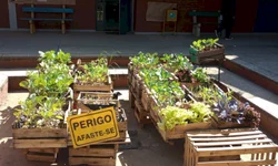 Presos provisórios poderão votar no domingo