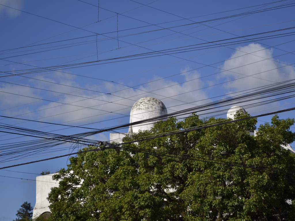 Planos Municipais de Arborização Urbana em pauta na ALRS