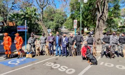 Bolsonaro anuncia auxílio para caminhoneiros autônomos