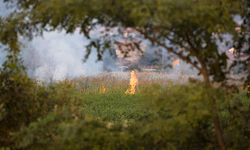 Bombeiros controlam incêndio em vegetação na Flores da Cunha