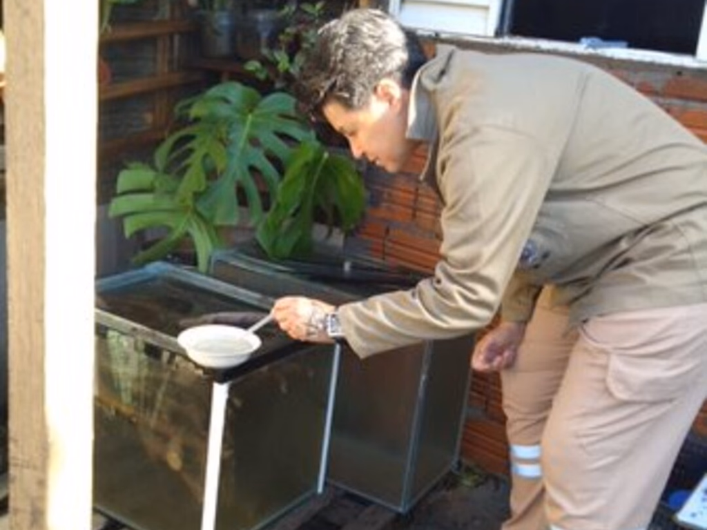 Município tem índice de alerta para a dengue