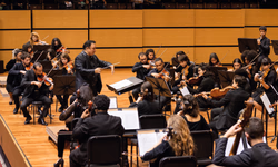 Chris Packham faz um apelo a Taylor Swift sobre o uso de jatos particulares