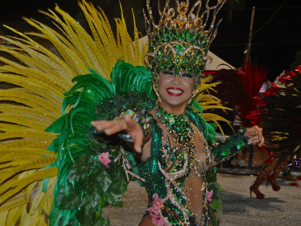 Legislativo aprova repasse de R$ 1 milhão para o Carnaval Fora de Época 2026