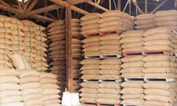 Polícia Civil deflagra operação contra suspeitos de furtar 55 mil sacos de arroz