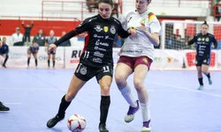 Fenagen Promebo valoriza genética bovina de elite e movimenta negócios