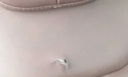 Perseguição termina com tiroteio e veículo com criança alvejado