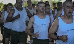 Município recebe alerta do Estado sobre raiva herbívora