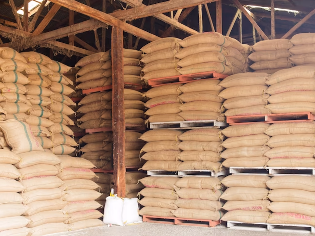 Polícia Civil deflagra operação contra suspeitos de furtar 55 mil sacos de arroz