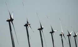 Cooperativa de Uruguaiana entrega mais de 16 mil kg de doações