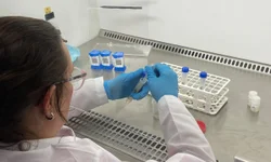 Lafron e Moinhos de Vento conduzem estudos inéditos em Uruguaiana