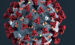 Foguete chinês fora de controle deve cair na Terra até sábado