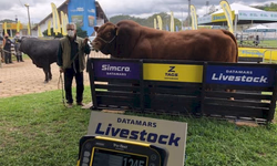 Selo de Inovação promoverá cooperativas usuárias da SmartCoop