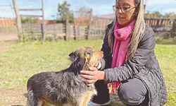 Mais de 1,6 mil passageiros passaram pelo Rubem Berta em junho