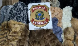Choque prende homem por tráfico de drogas no Cabo Luiz Quevedo