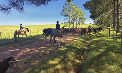 Vencedores da Prova de Eficiência Alimentar serão conhecidos no próximo dia 27