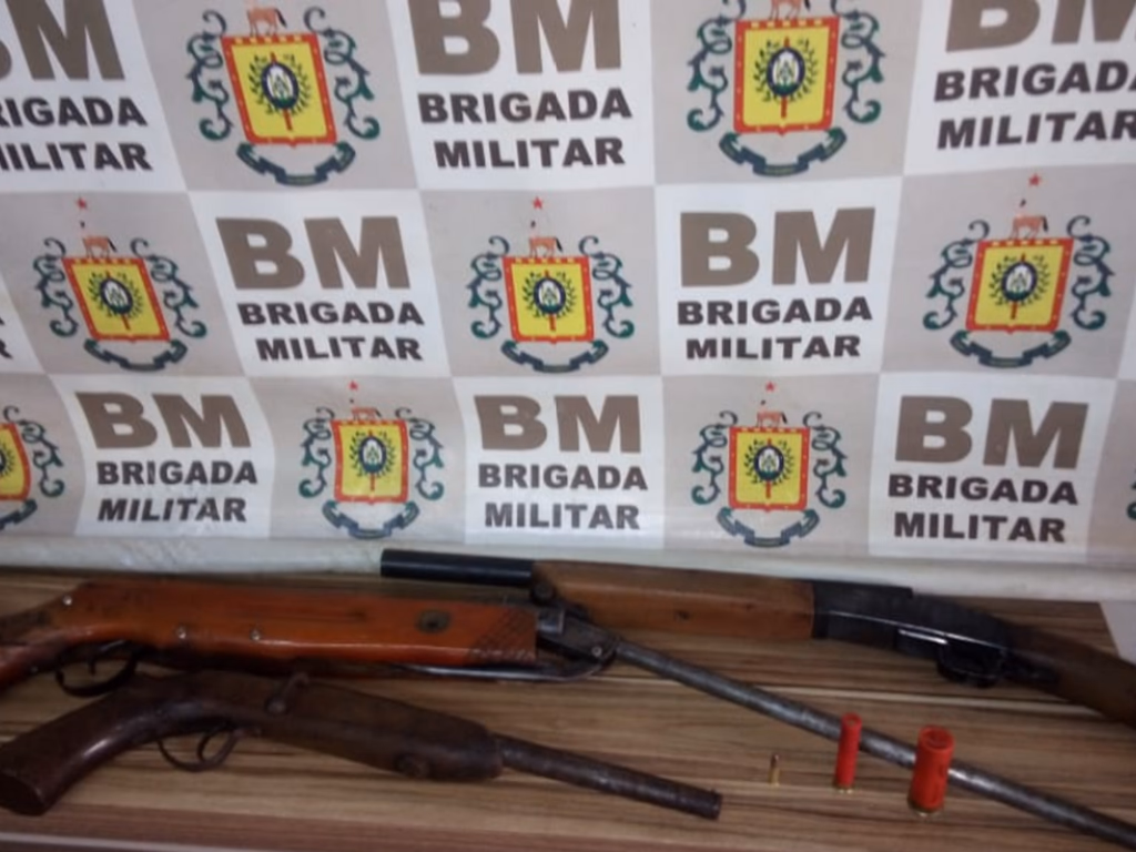 Mulher é presa por posse de armas