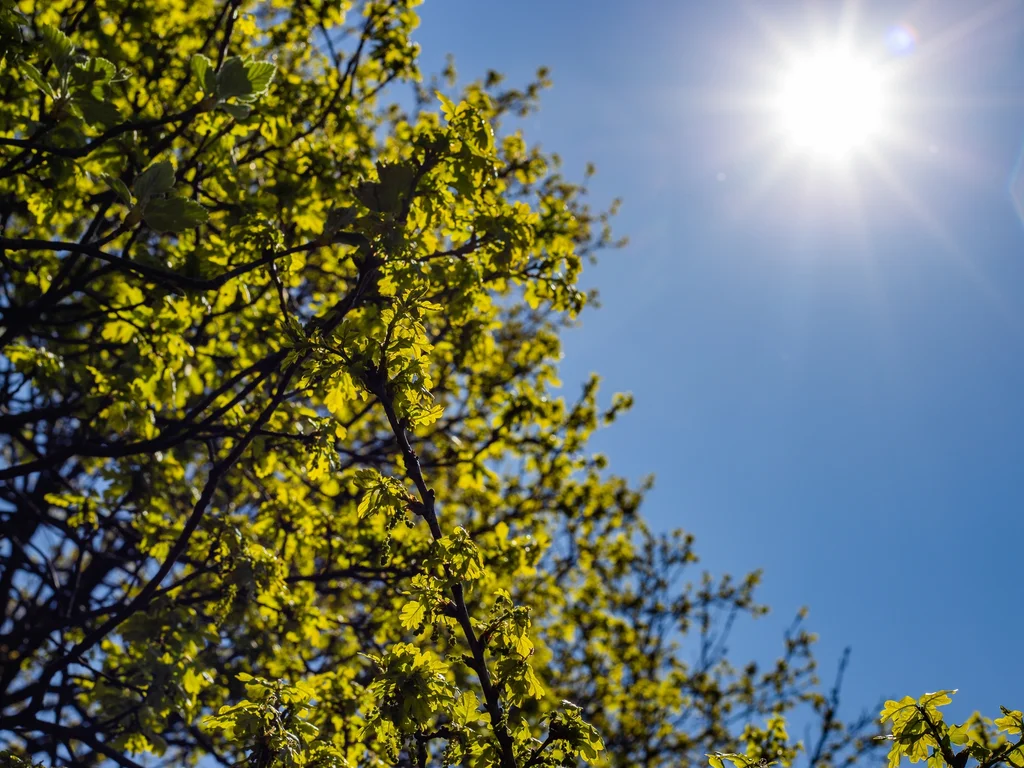 Clima na primeira semana de 2025