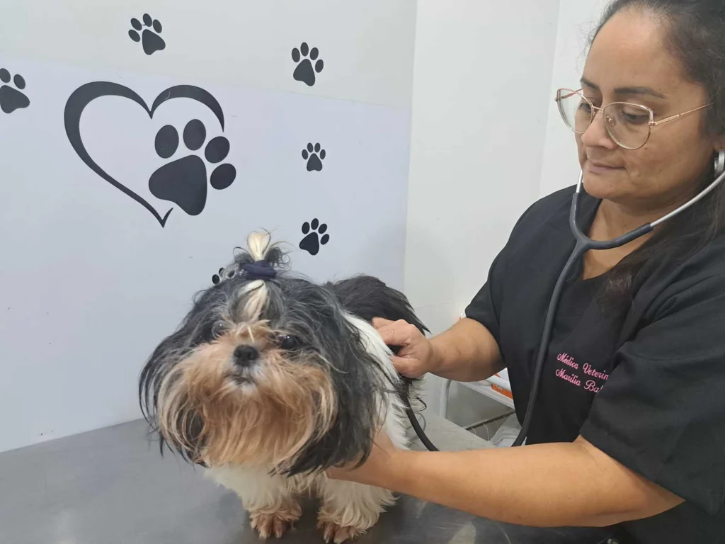 Queda de temperatura exige cuidados com doenças respiratórias em pets
