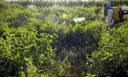 Vereador quer ampliar período de descontos na energia elétrica de hospitais