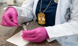 Cerca de 150 brigadianos trabalham no entorno da Avenida