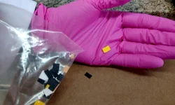 Site que dá garante procedência de poças usadas ampliou vendas nos CDVs