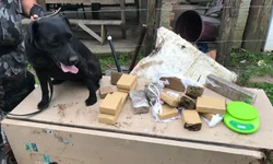 Susepe apreende drogas, celulares e armas brancas no Instituto Penal