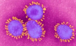 Abertas inscrições para estagiários de nível médio