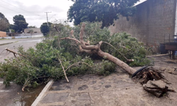 Rompimento de cabo deixa parte da cidade sem energia