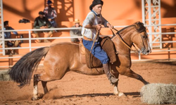 Final da Campereada ocorre no fim de setembro em Esteio
