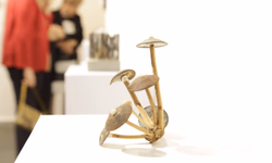 Exposição segue até dia 1º de agosto