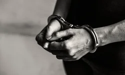 Operação da PF combate tráfico de pássaros na Fronteira Oeste