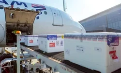 Nova variante é identificada no RS