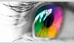 Unipampa abre seleção para cadastro de reserva