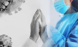 Leite assina decreto que proíbe corridas com cães no RS