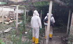 Avião retorna ao aeroporto após colisão com pássaro