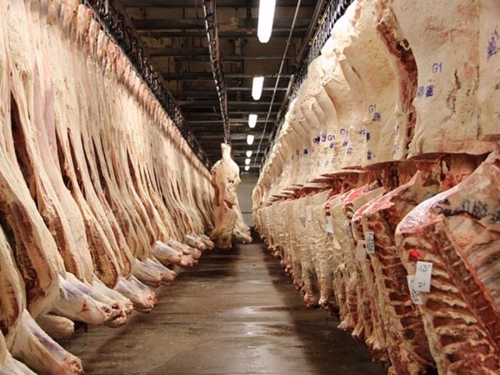 Mapa abre consulta pública sobre normas de monitoramento de carcaças bovinas e suínas