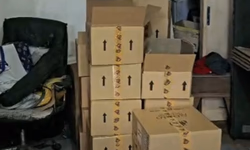 Divulgação não autorizada de conteúdo íntimo acende alerta sobre crime digital