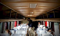 Brigada apreende dez capivaras em carro abandonado