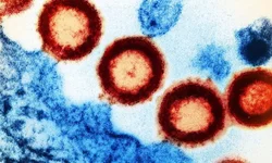 Campanha atingiu pouco mais de 18% do público-alvo