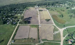 Safra de arroz bate recorde em produtividade