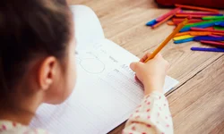 Frente Parlamentar reúne políticos e sociedade civil em plenária