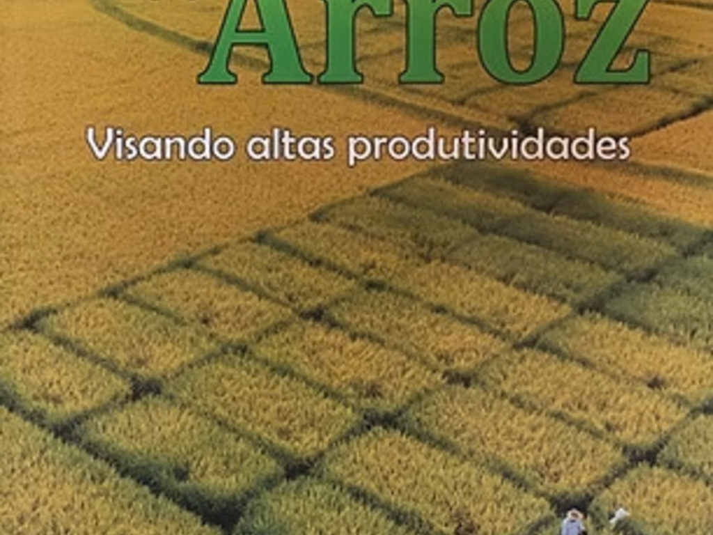 UFSM lança livro sobre projeto inovador de produtividade em lavouras de arroz